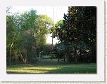 Back Hedge Row After * 652 x 492 * (86KB)